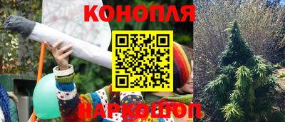 гашик Донецк