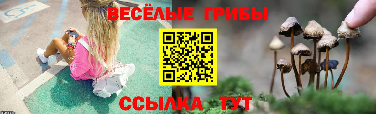Галлюциногенные грибы ЛСД Лянтор